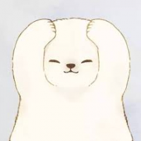 AirCat
