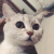  tomand