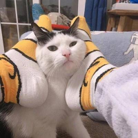  素颜
