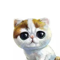  杨付云