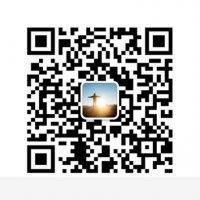  Aida15658073506