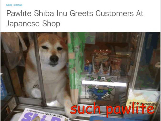 Image title