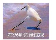 Image title