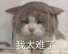Image title