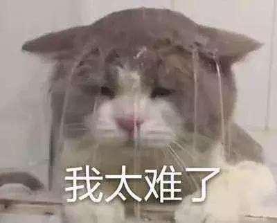 Image title